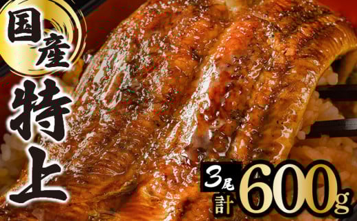 ≪2025年4月以降発送≫【数量限定】『国産』うなぎ蒲焼 3尾 計600g※一部配送不可地域あり佐賀県上峰町21000魚介・海産物