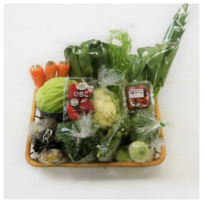 三重県いなべ市の農産物直売所「ふれあいの駅うりぼう」より「旬の新鮮野菜・果物セット」をお届けします!【配送不可地域:離島・北海道・沖縄】【1201237】三重県いなべ市10000果物・フ