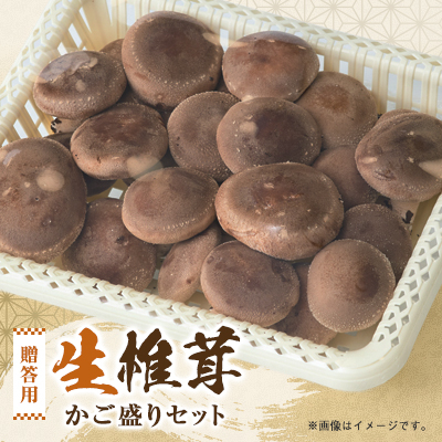 贈答品用椎茸かご盛りセット【配送不可地域:離島】【1201244】三重県いなべ市10000野菜・きのこきのこ