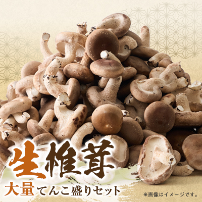 椎茸大量てんこ盛りセット【配送不可地域:離島】【1201273】三重県いなべ市60000野菜・きのこきのこ