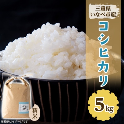 令和7年産 コシヒカリ 5kg【1431741】三重県いなべ市15000米・パン白米