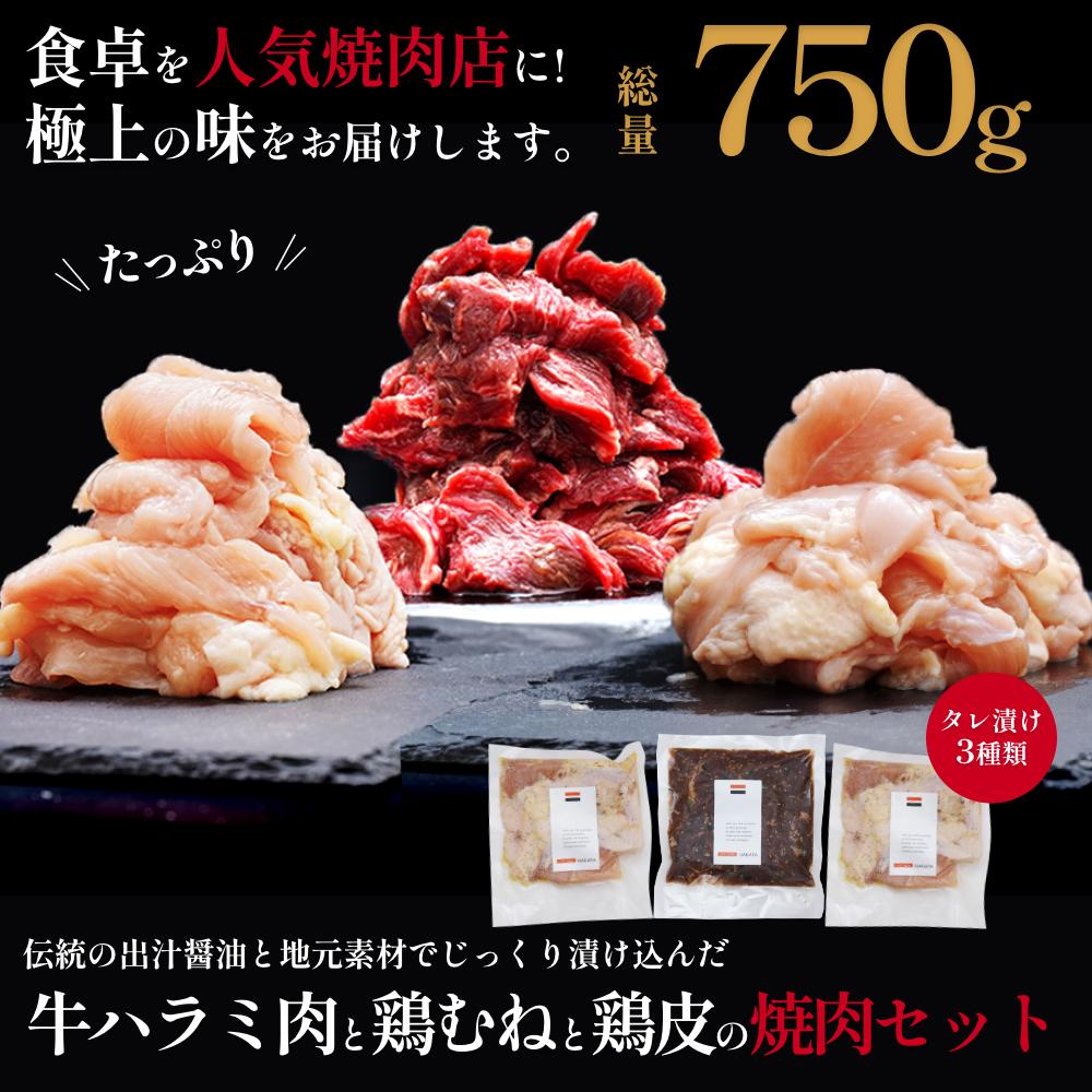 【BBQ・焼肉用】印南町オリジナル熟成タレ漬けBBQセット お試しサイズ750g和歌山県印南町10000肉牛肉