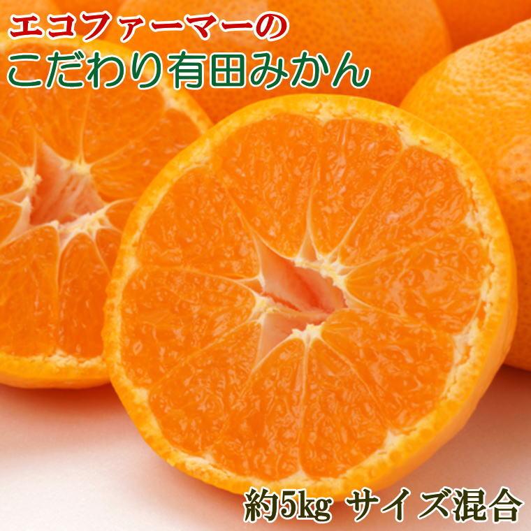 エコファーマーのこだわり有田みかん5kg(サイズ混合)★2025年11月中旬頃より順次発送和歌山県印南町12000果物・フルーツみかん・柑橘類