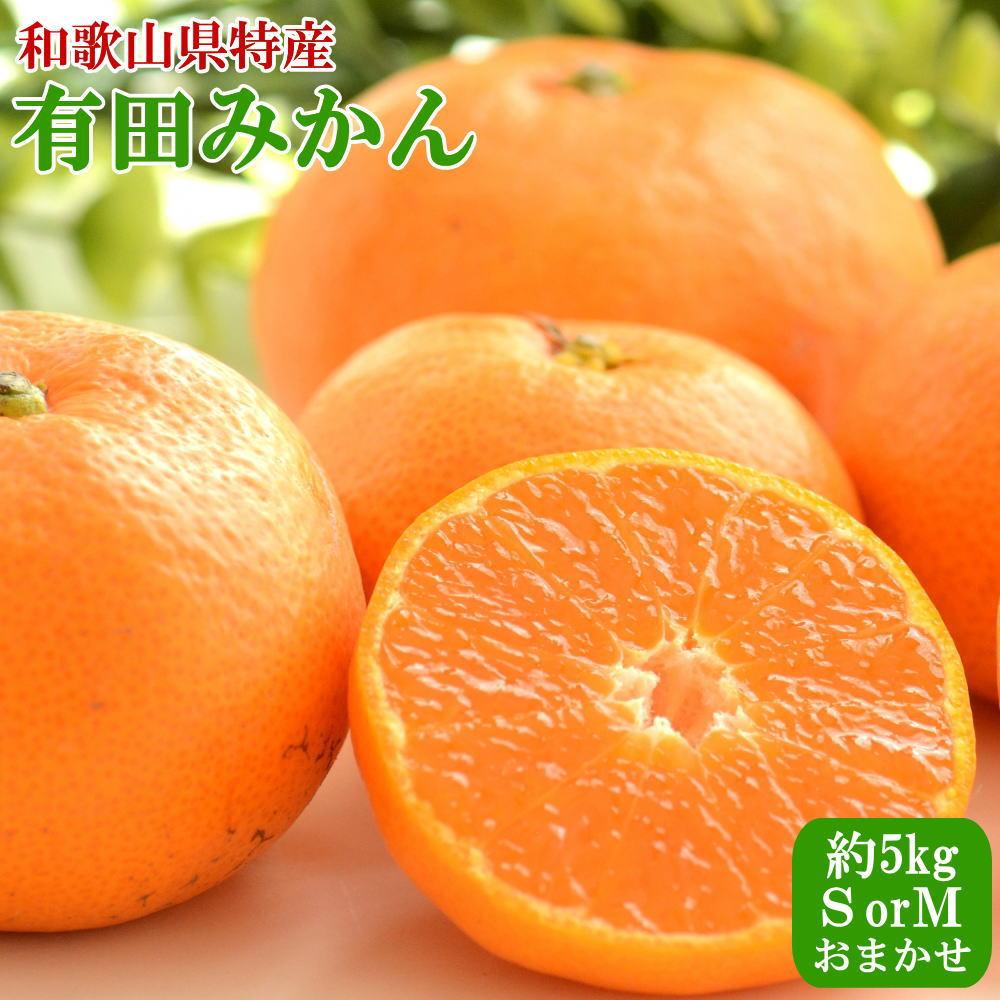 [Gi]a̎RLc݂5kg(S܂MTCY) 2025N11{菇mTM97na̎R쒬13000ʕEt[c݂Ek