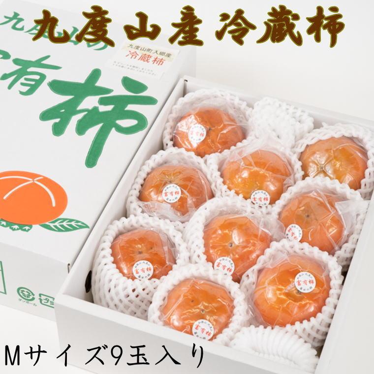 m܂͔|nxR̗①xL`MTCY9ʓ聚2026N1{菇mTM122na̎R쒬13000ʕEt[c̑ ʕEt[c