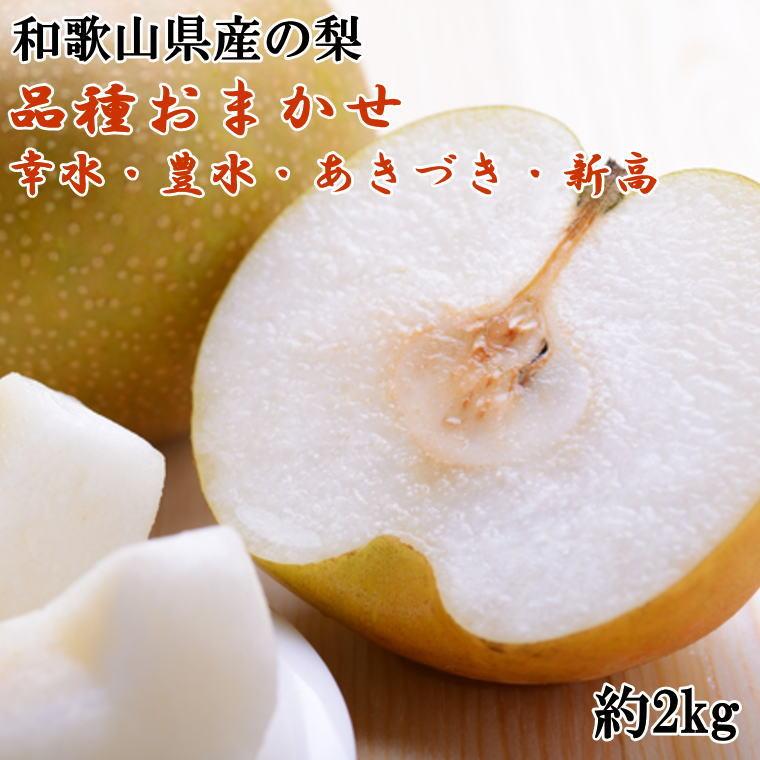 a̎RY̗2kg(i킨܂)2026N8{菇yTM181za̎R쒬13000ʕEt[c񂲁E