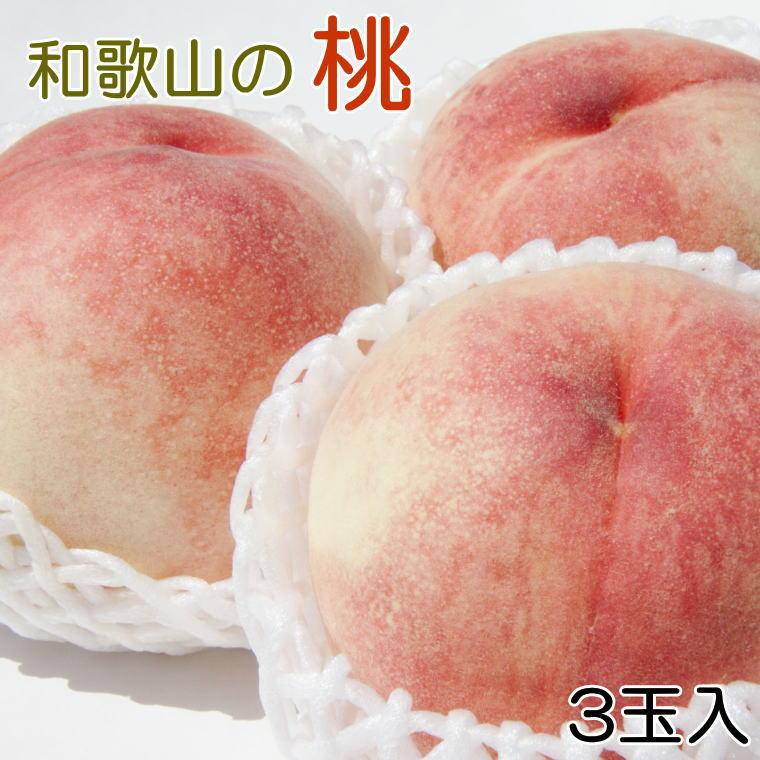 yYElC̓Yiza̎R̓ 3ʓ 700g  2025N6{8{yTM93za̎R쒬10000ʕEt[cE
