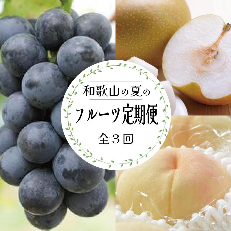 定期便全3回 【7月・8月・9月発送】 和歌山の夏のフルーツをお届け(桃・梨・たねなしピオーネ)【TM179】和歌山県印南町52000果物・フルーツその他 果物・フルーツ