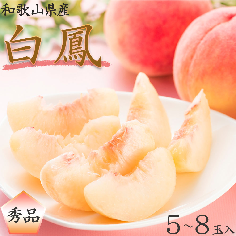 a̎RY P  5`8ʓ Gi s\m2026N6{ȍ~nmMG6na̎R쒬14000ʕEt[cE