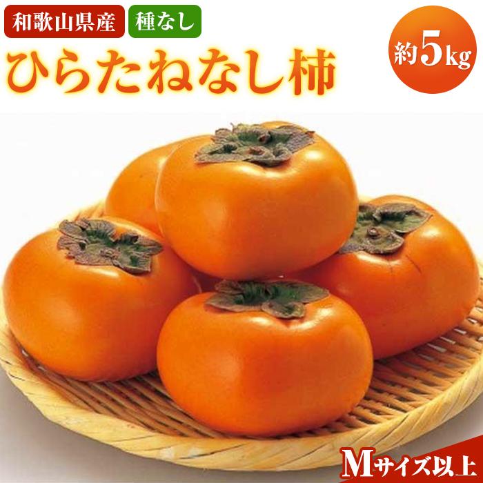 【ご家庭用】和歌山県産 平核無柿 約5kg 【2024年10月上旬〜11月上旬順次発送】【MG68】和歌山県印南町10000果物・フルーツその他 果物・フルーツ