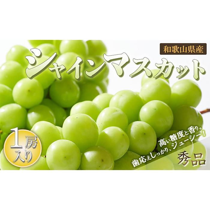 VC}XJbg 1[i600gȏjm2025N8{ȍ~oׁnmMG24na̎R쒬12000ʕEt[c}XJbgEԂǂ