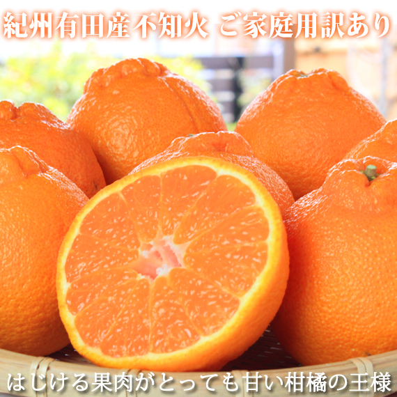 mƒpLnIBLcYsm(ʂ) 8.5kgm2026N2{ȍ~nms\nmUT41na̎R쒬19000ʕEt[c݂Ek