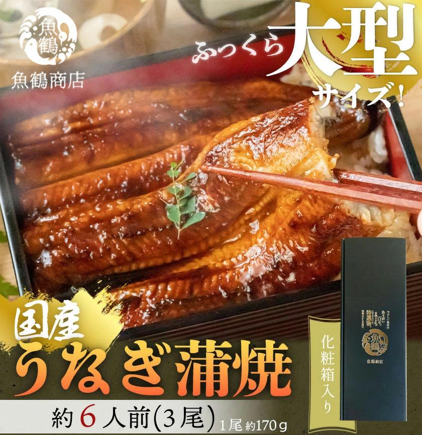大型サイズふっくら柔らか 国産うなぎ蒲焼き 3尾和歌山県印南町27000魚介・海産物うなぎ