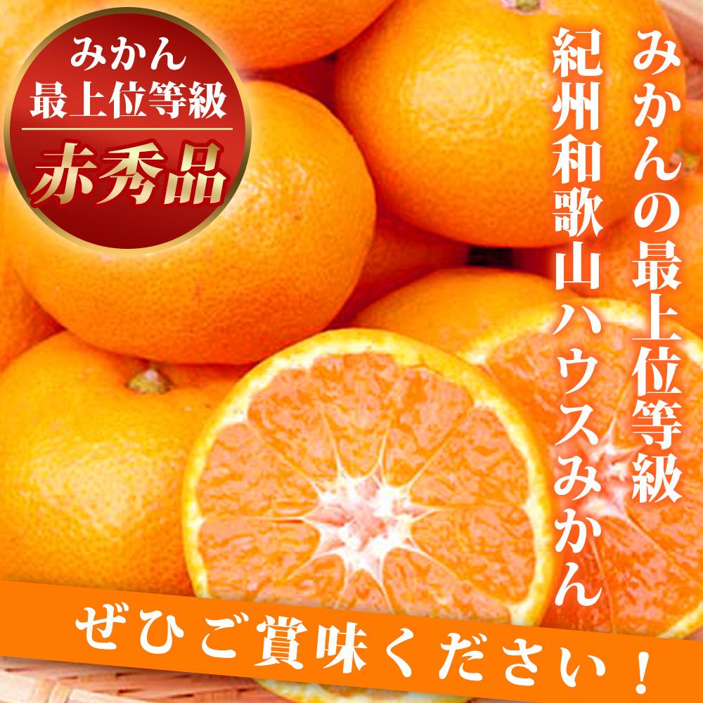 ԏGi IBa̎RnEX݂ 2.5kgm2026N6`2026N7{ɏnmUT87na̎R쒬20000ʕEt[c݂Ek