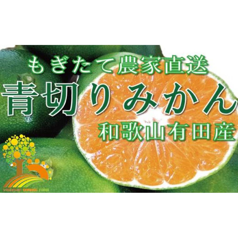 こだわりの 青切りみかん 約7.5kg【2024年9月下旬より順次発送】和歌山県印南町11000果物・フルーツみかん・柑橘類