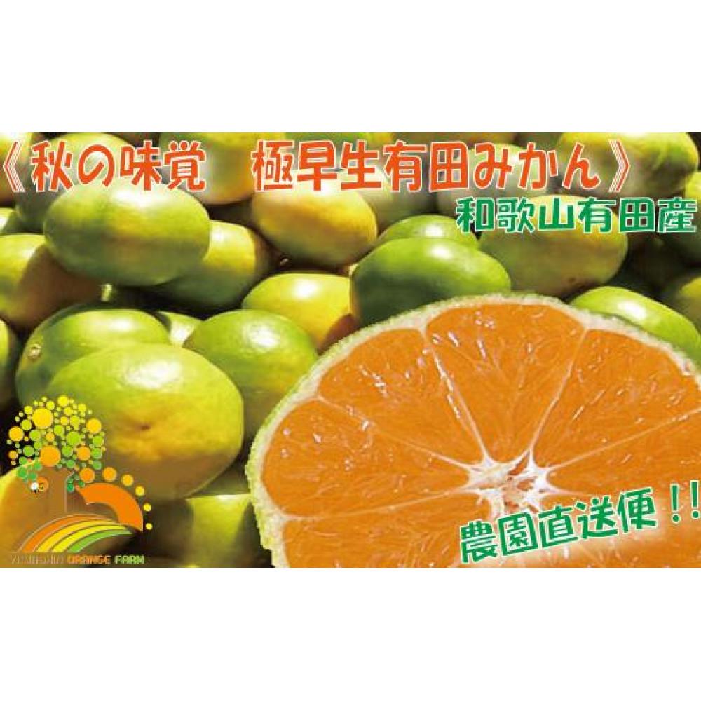 こだわりの 極早生みかん約10kg【2024年9月下旬より順次発送】和歌山県印南町13000果物・フルーツみかん・柑橘類