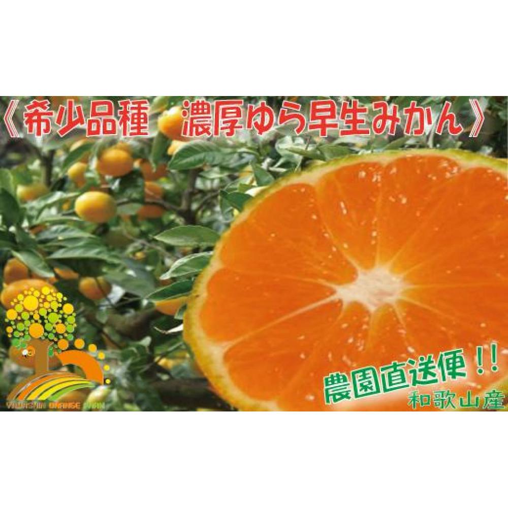 濃厚な味わい ゆら早生みかん約10kg 希少品種《有機質肥料100%》【2024年10月より順次発送】和歌山県印南町14000果物・フルーツみかん・柑橘類