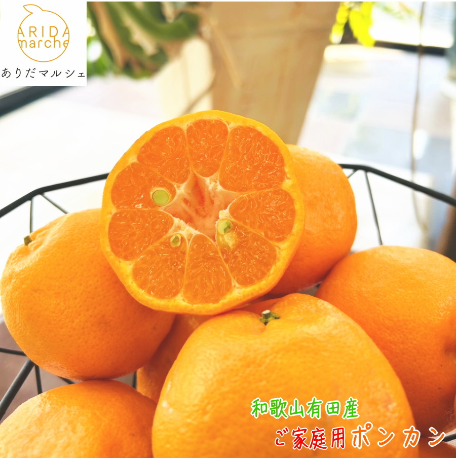 Lc炿 n |Jiƒpj5kgms\nmMS45na̎R쒬12000ʕEt[c݂Ek