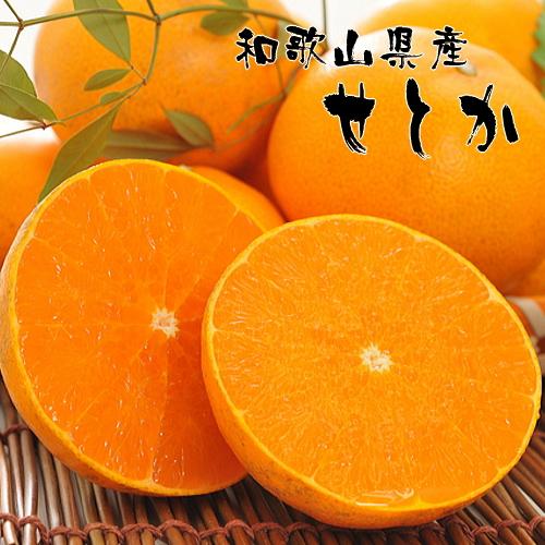 a̎RLc̔ZƂiƒpj 4`5kg ms\n |  t[c ʎ ʕ Lc ݂ a̎R@mMS81na̎R쒬18000ʕEt[c݂Ek