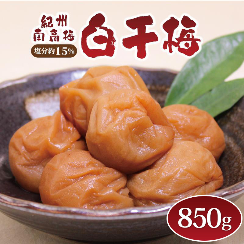 Ȃ݂̗~ IB썂~ ~850g 15ya̎RYz쒬a̎R쒬10000ZbgE؁EHHiЕE~EL`