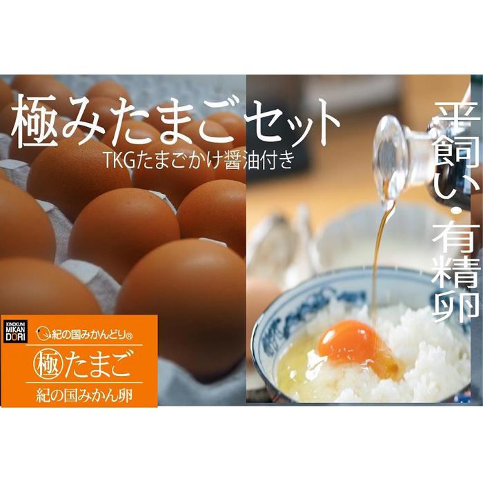 紀の国みかん極みたまごTKGセット和歌山県印南町12000卵・乳製品卵(鶏、烏骨鶏等)