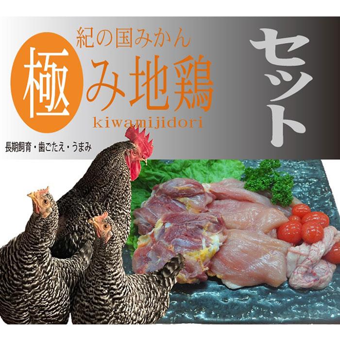紀の国みかん極み地鶏セット和歌山県印南町10000肉その他 肉