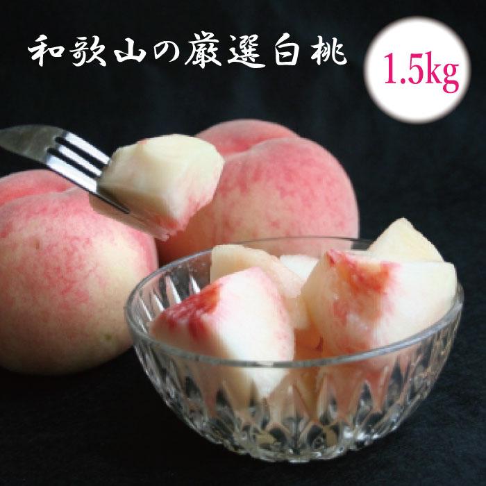 7a̎ŘI 1.5kgmPEE쒆EE͂ƂnmϔnmIKE16na̎R쒬10000ʕEt[cE