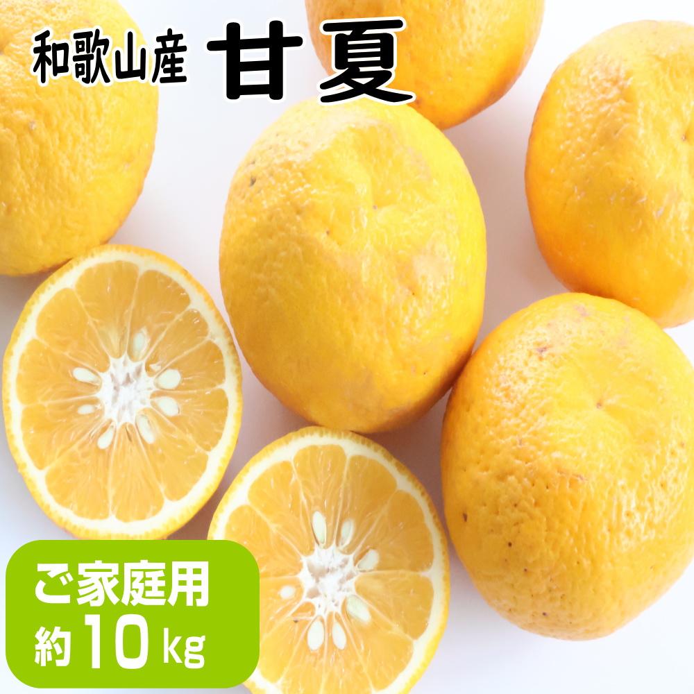 【ご家庭用】甘夏(あまなつ)約10kg 和歌山産和歌山県印南町12000果物・フルーツみかん・柑橘類