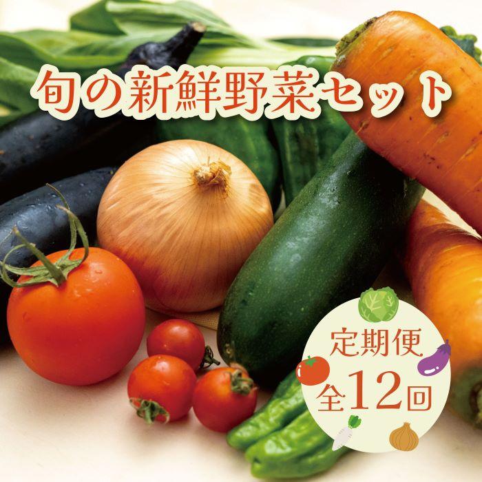 【毎月お届け全12回】旬の新鮮野菜セットA(たっぷり13種類以上)和歌山県印南町120000野菜・きのこその他 野菜
