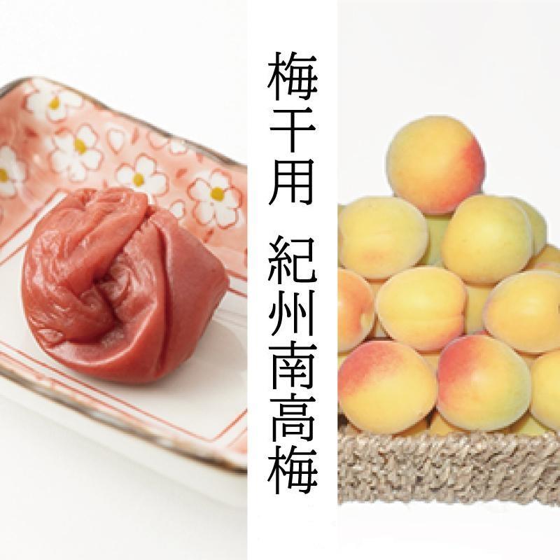 m~E~pni2L܂L|10Kgjn썂~2026N6{`77\聄t[c ʕ  Hi lC  mART03na̎R쒬90000ʕEt[c̑ ʕEt[