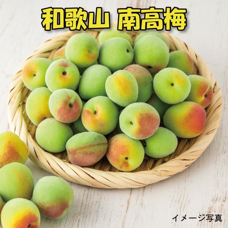 m~E~pniL܂M|10Kgjn썂~2026N6{`77\聄t[c ʕ  Hi lC  mART08na̎R쒬70000ʕEt[c̑ ʕEt[c