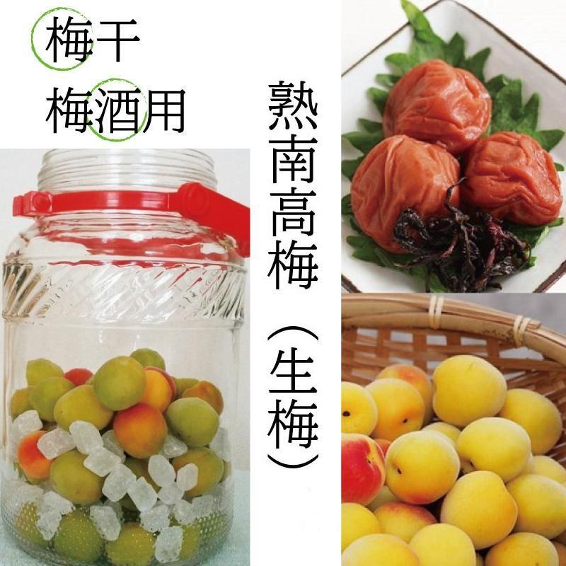 青梅 南高梅 無農薬 10Kgのお取り寄せ販売（通販）送料無料でお届け