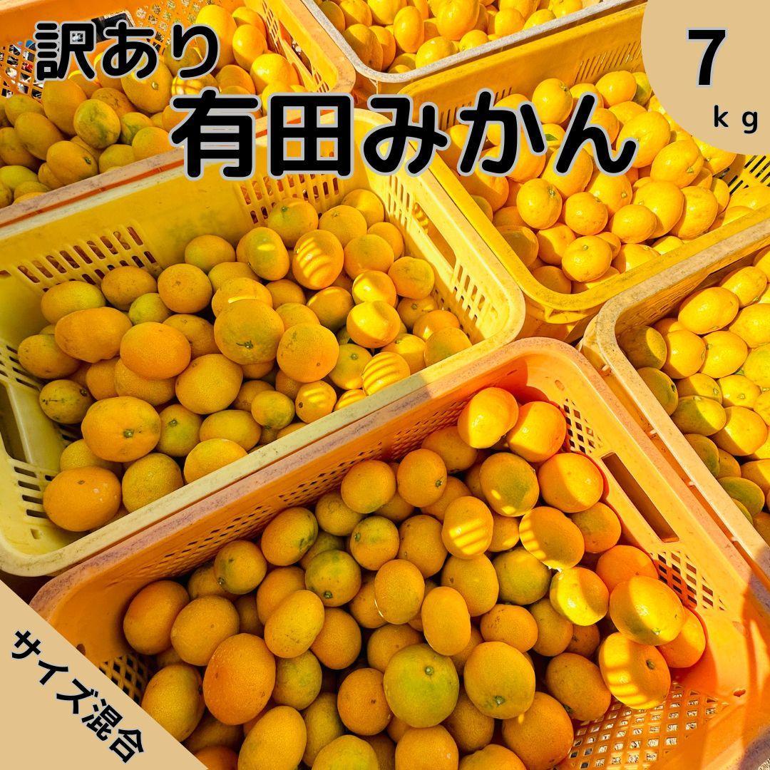 【訳あり】有田みかん 6kg+1kg補償分 3S〜3Lサイズ混合和歌山県印南町10000果物・フルーツみかん・柑橘類