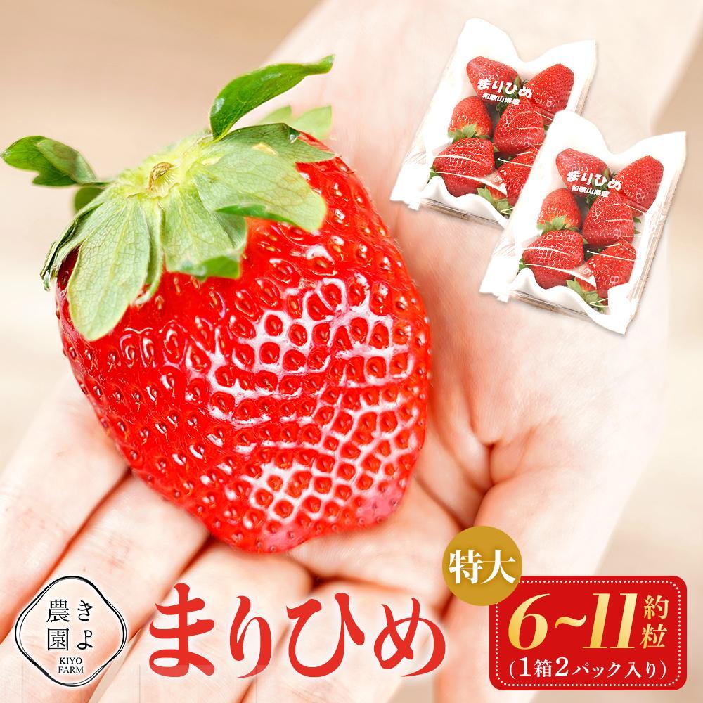 ܂Ђ߃C`S E 6`11×2pbNm2026N1{蔭nms\nmKT3na̎R쒬13000ʕEt[c