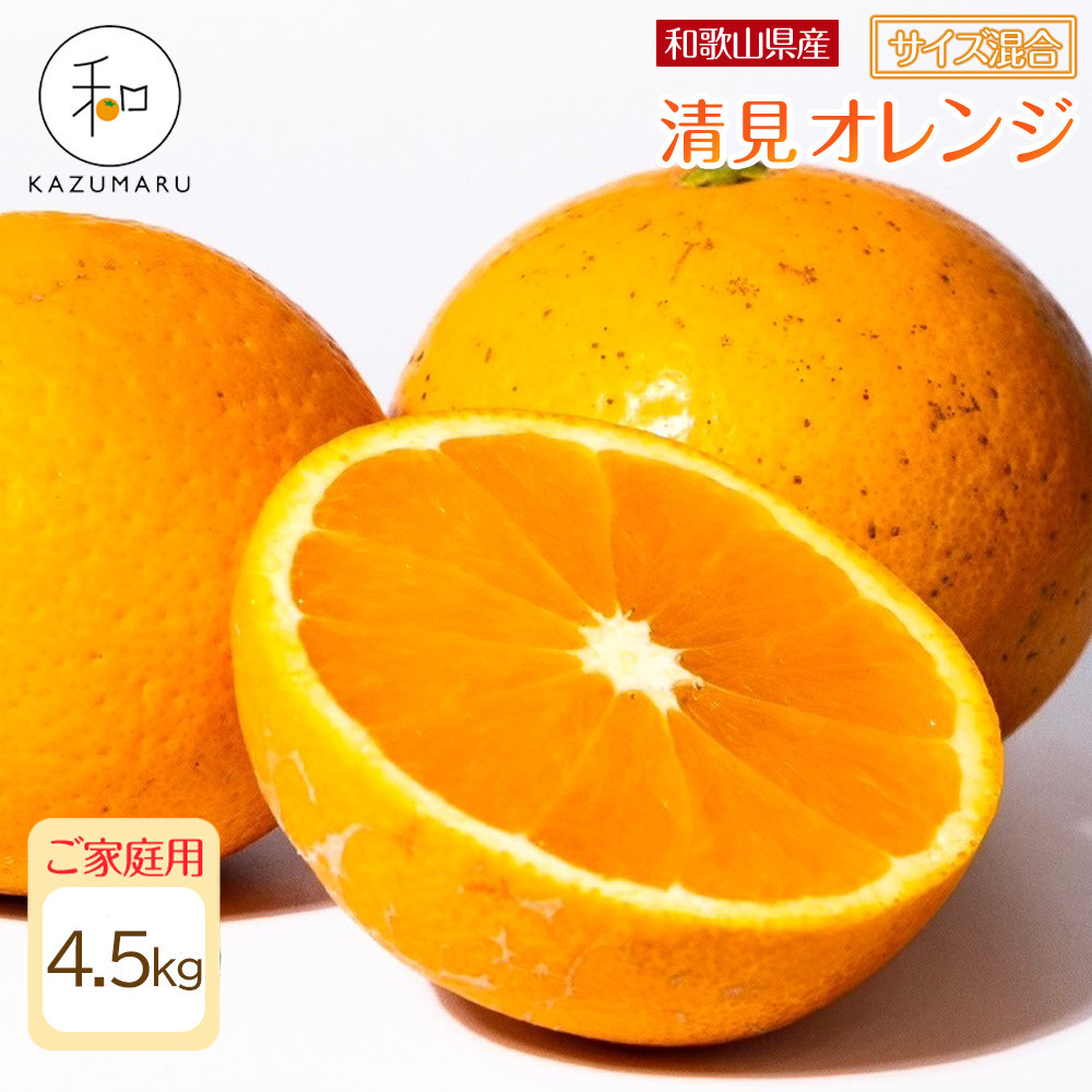 ƒp X{_̎I IW 4.5kg a̎RY TCY mkCEEzsnmRN22nm2026N2{5{\na̎R쒬8000ʕEt[c