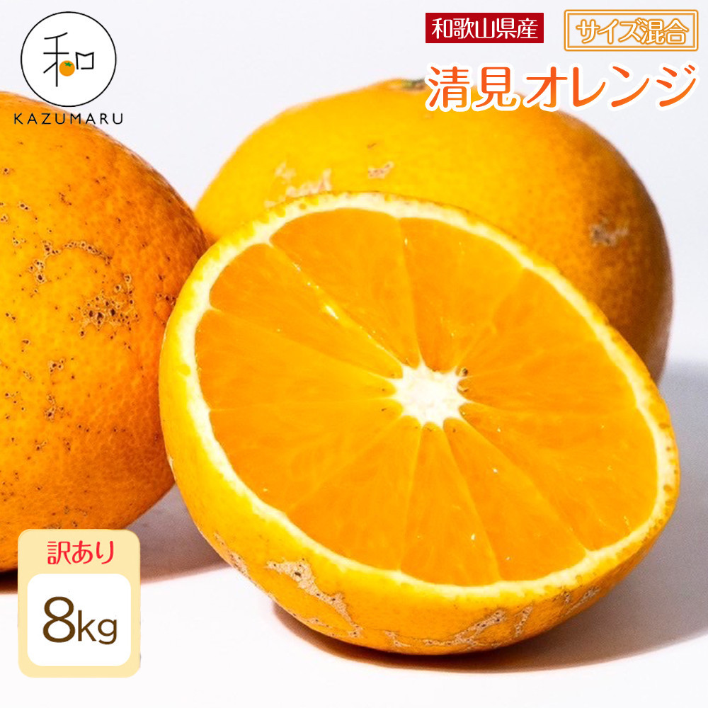 󂠂 X{_̎I IW 8kg a̎RY TCY mkCEEzsnmRN25nm2026N2{5{\na̎R쒬10000ʕEt[c