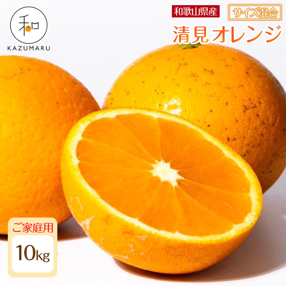 ƒp X{_̎I IW 10kg a̎RY TCY mkCEEzsnmRN39nm2026N2{5{\na̎R쒬16000ʕEt[c