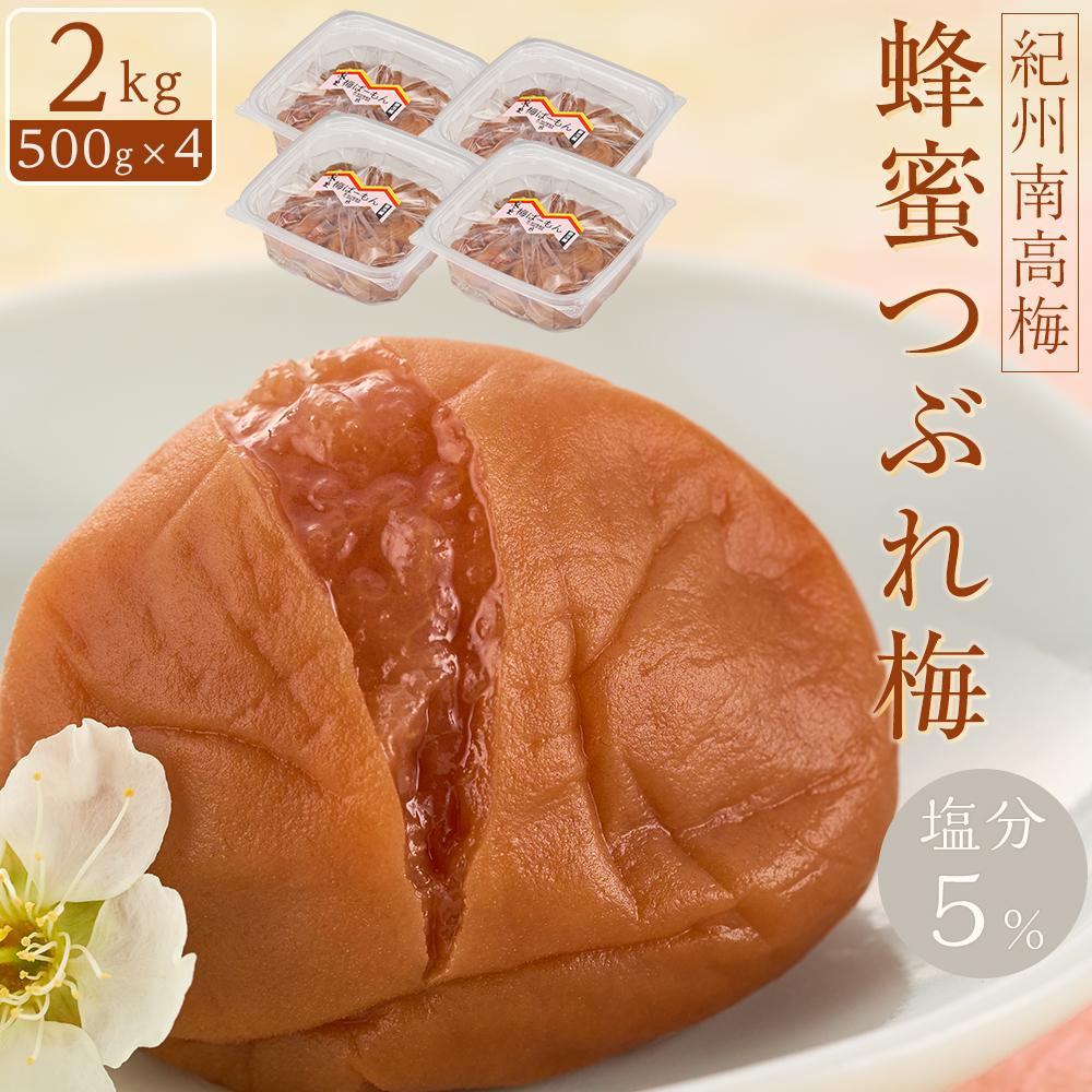 IB썂~ IԂ~ 5 2kg (500g×4) mKn23na̎R쒬17000ZbgE؁EHHiЕE~EL`