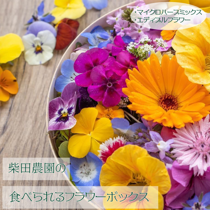 AG-14 柴田農園の食べられるフラワーボックス茨城県高萩市12000鍋セット・総菜・加工食品その他 鍋セット・総菜・加工食品