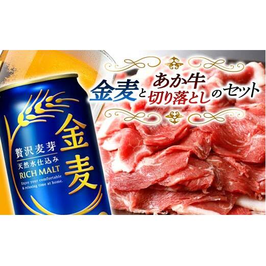 FKK19-04C_Tg[ Ƃ؂藎ƂZbg F{ Ó r[ ZbgF{Ó27500