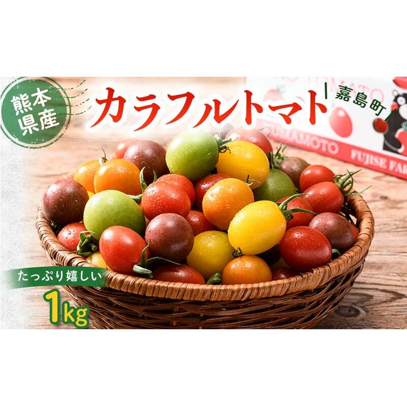 FKK19-810_嘉島町産カラフルトマト1kg熊本県嘉島町8000野菜・きのこトマト