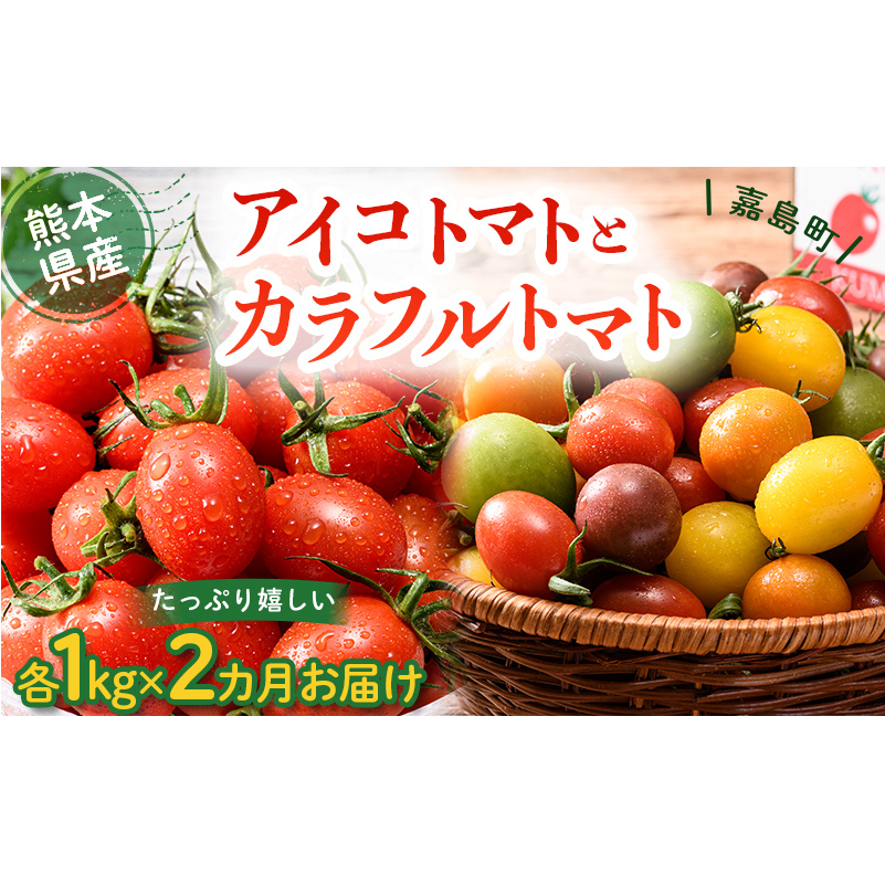 FKK19-874_【2カ月定期】アイコトマト・カラフルトマト 各1kg熊本県嘉島町15000野菜・きのこトマト