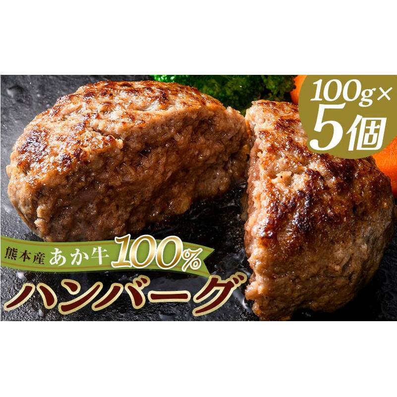 FKK19-998_あか牛100%ハンバーグ(100g×5個)牛 ハンバーグ 牛肉 ビーフ 肉 食品熊本県嘉島町10000肉牛肉