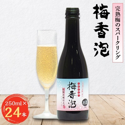 n~̃Xp[NO@~A(߂ق)@24{y1033663z{\25000EAR[~Eʎ