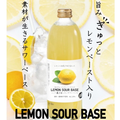 にごり皮ごとレモンサワーベース ～あなただけのオリジナルサワーを～ 500ml×12本【1285250】 | 大阪府能勢町 | JRE  MALLふるさと納税