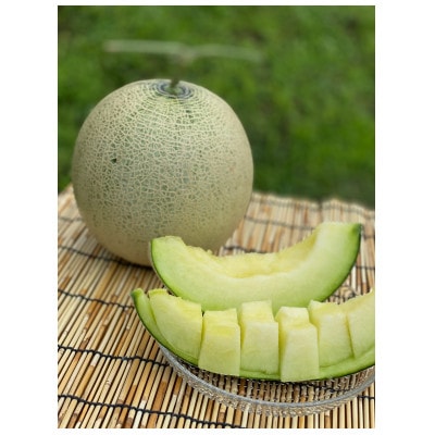 ߘa6N8{ȍ~\!@{\Y@wA[Xx1ʁyzsnFzy1521213z{\10000ʕEt[cEXCJ