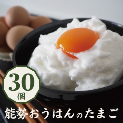 「さぁ!ご飯にのせ玉子」モノクロ鶏の極上個性たまご30個【配送不可地域:離島】【1669298】大阪府能勢町9000卵・乳製品卵(鶏、烏骨鶏等)