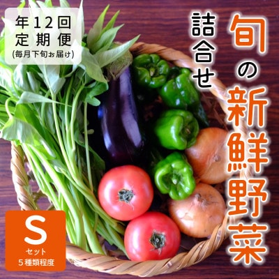 yŒցzw\YxׂԂρ[̐VN؋l@SZbg(5)@{S12yzsnFzy4062843z{\60000؁Ê̑ 