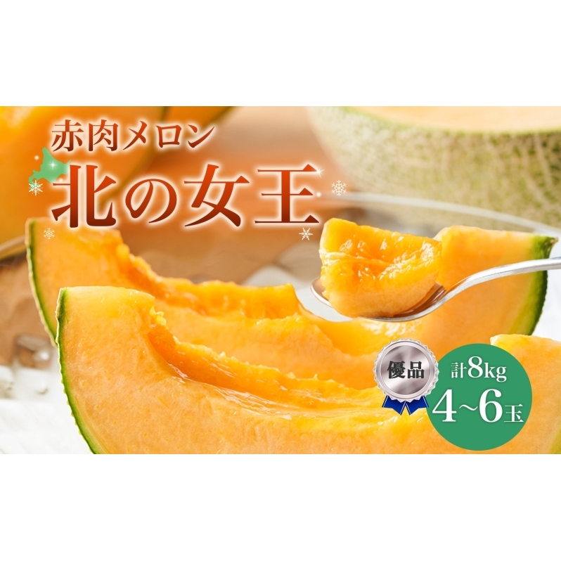 y2026NĔzkC ԓ k̏ Di 4`6 v8kg ߘa8N  ʕ t[c { G  Â L Y kCY fU[g J Yn Y Mtg j i