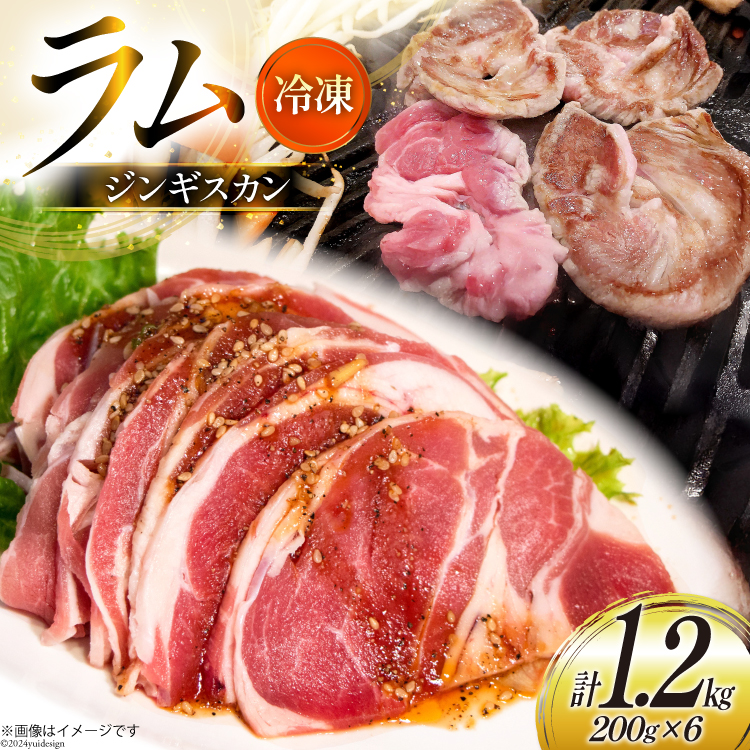  Ⓚ WMXJ 200g 6pbN v1.2kg [ē kC s 12260734-c] r r   ē Ă ₫ɂ r[Ly[kCs29000WrG